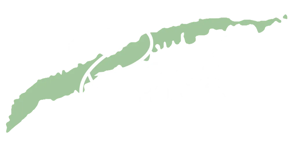 Reach Roatan - Steven Jones Reach Roatan - Steven Jones