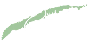 Reach Roatan Logo transparent Reach Roatan Logo transparent